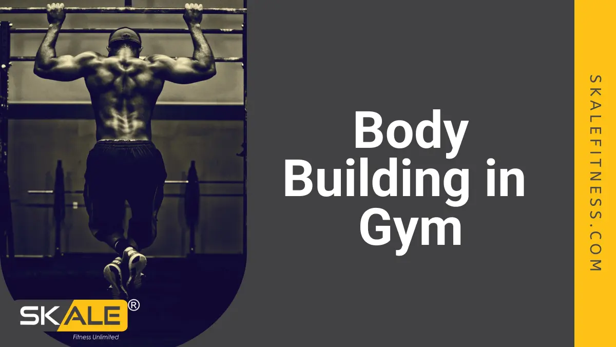 Body Building in Gym