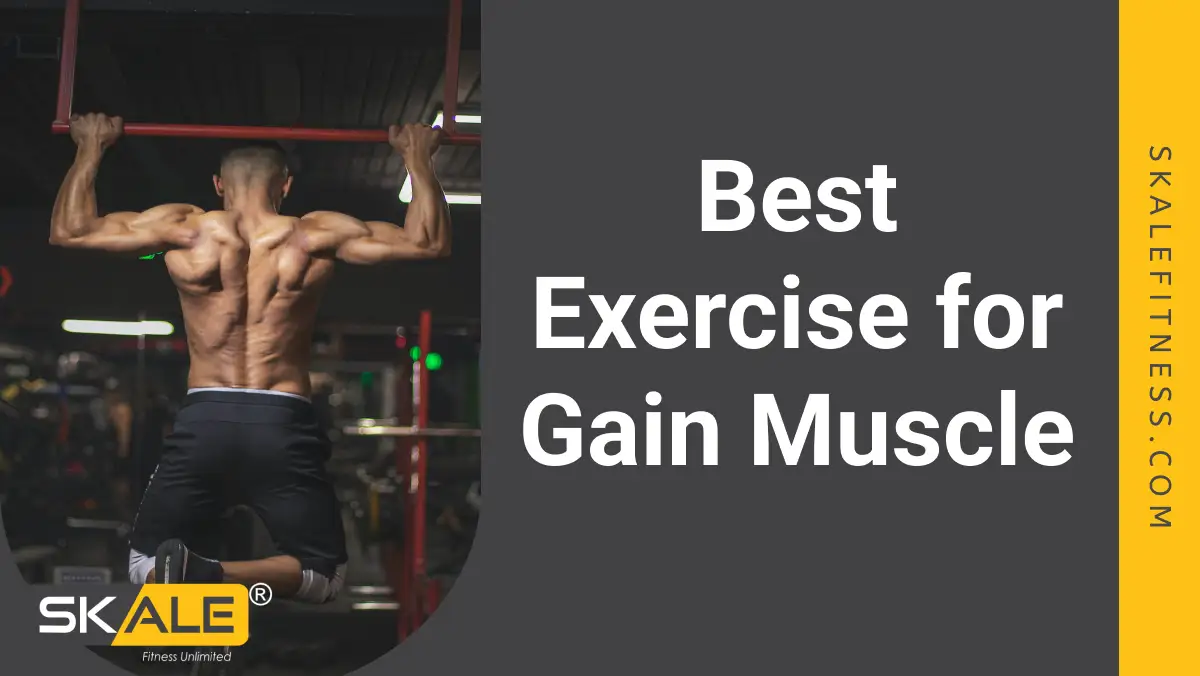 exercise to gain muscle