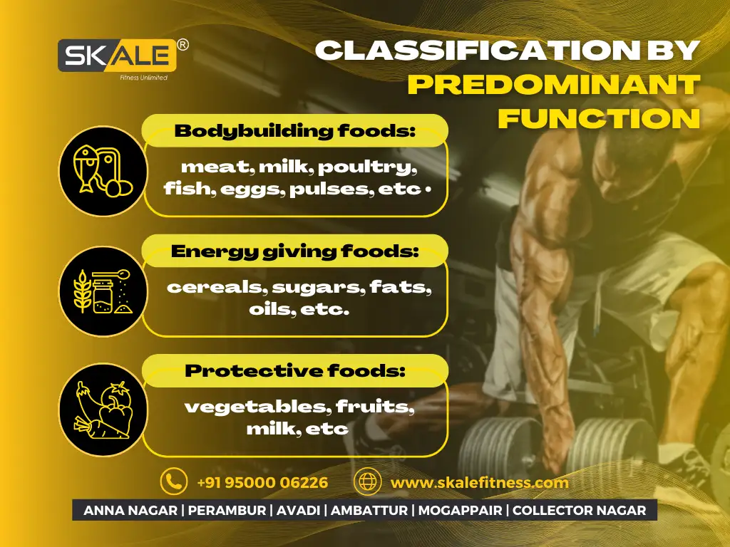 Best Gym Workout Plan For Beginners Skale Fitness Chennai