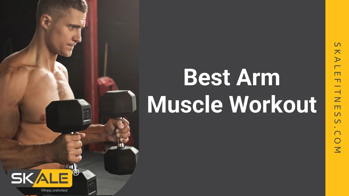 The 3 Best Arm Muscle Workout