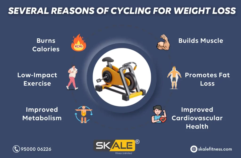 Best Gym Cycle For Weight Loss | Skale Fitness
