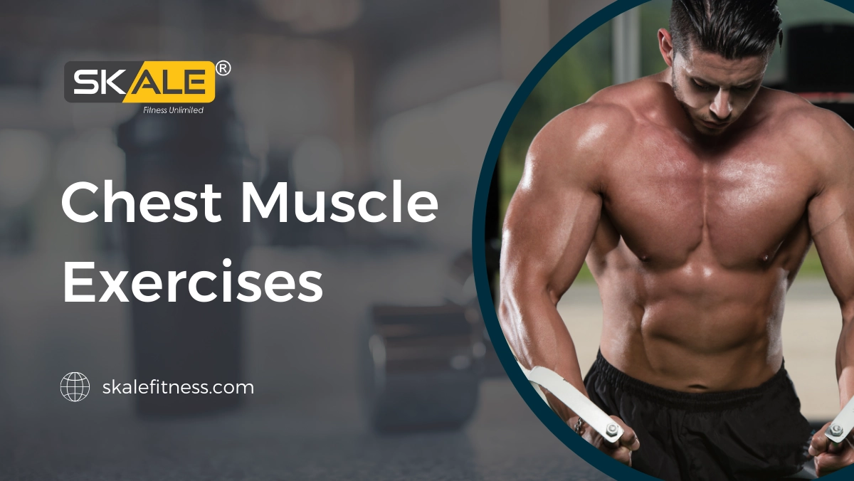 Chest Muscle Exercises