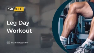 Leg Day Workout